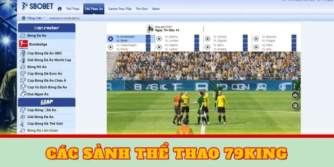 Thể Thao 79KING: Địa Điểm Cược Hấp Dẫn Dành Cho Các Tay Chơi 1 Các sảnh thể thao 79KING