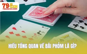 hieu tong quan ve bai phom la gi 1