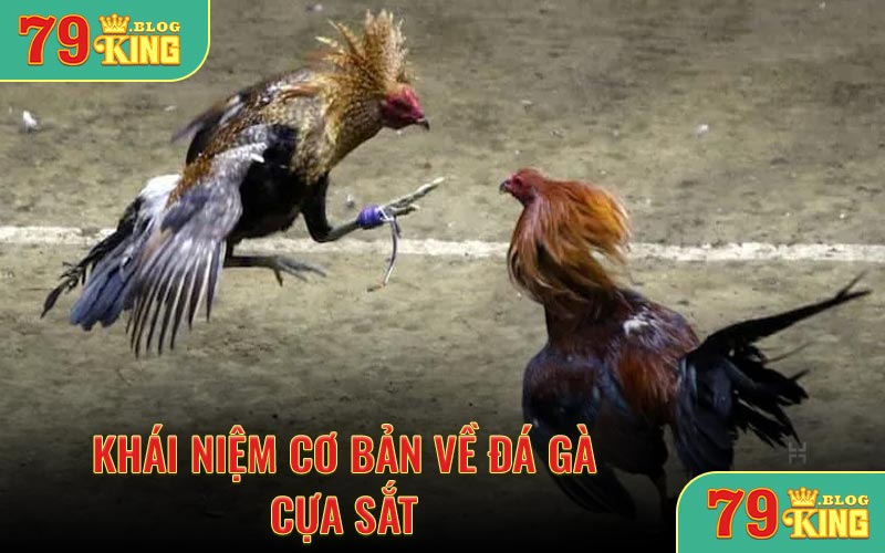 Khái niệm cơ bản về đá gà cựa sắt