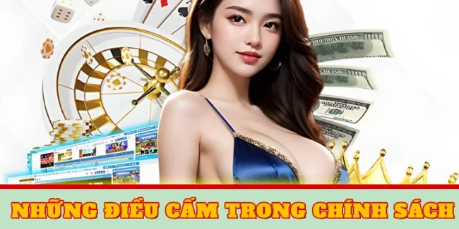 Những điều cấm trong chính sách Điều kiện điều khoản