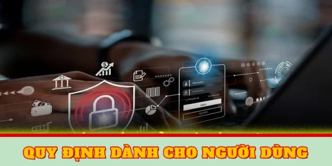 Quy định dành cho người dùng