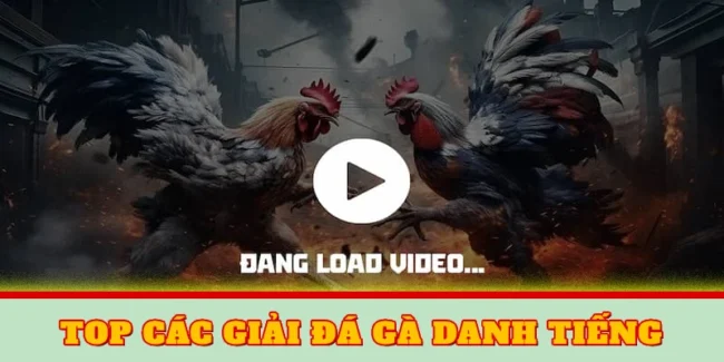 Top các giải đá gà danh tiếng
