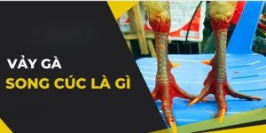 vay ga song cuc la gi 1